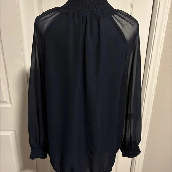 Ann Taylor Navy Sheer Blouse - Picture 5 of 10